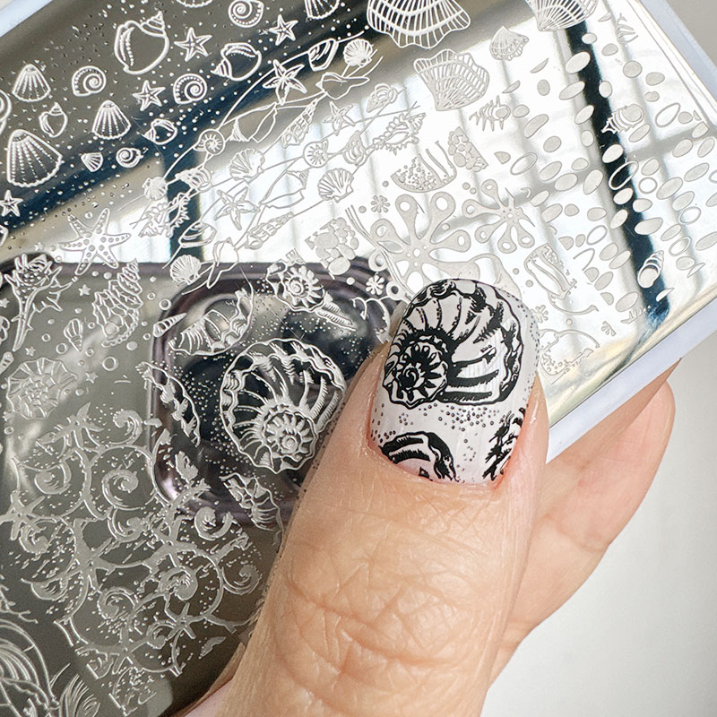 Nail Art Stamping Kit - XMQ ネイルアートスタンピングプレート オーシャンデザイン サマーテンプレート