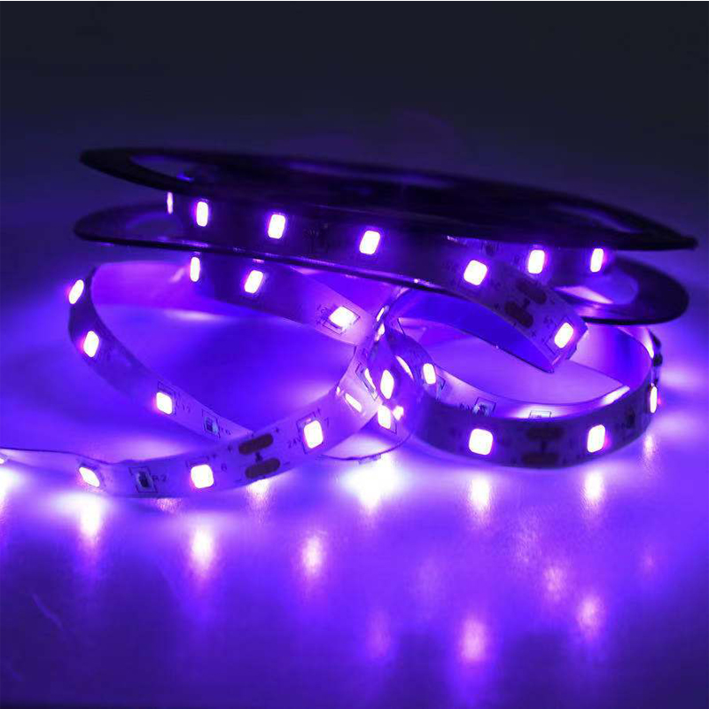UV LED 紫外線ライト、ブラック UV ランプ、SMD  - Uv Nail Lamp のレビューと価格