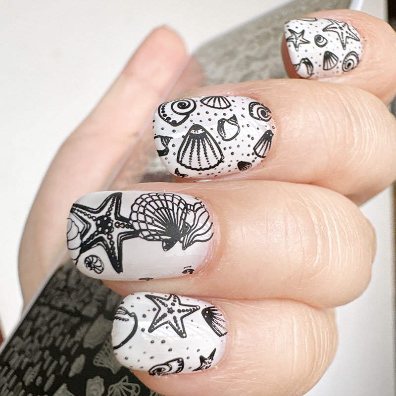 XMQ ネイルアートスタンピングプレート オーシャンデザイン - Nail Art Stamping Kit のレビューと価格
