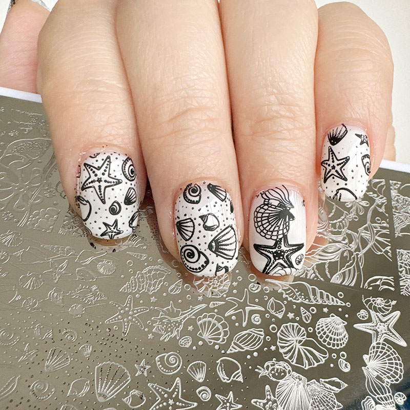 XMQ ネイルアートスタンピングプレート オーシャンデザイン - Nail Art Stamping Kit のレビューと価格