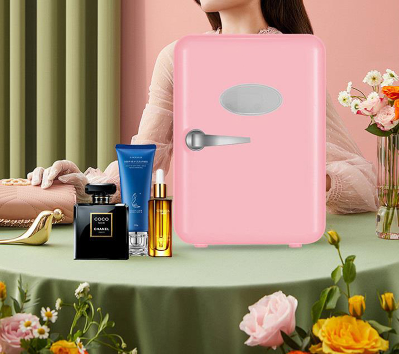 家庭用・車載両用 4L ミニ冷蔵庫 冷凍庫 化粧品冷蔵庫 美 - Beauty Makeup Fridge のレビューと価格