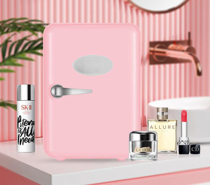 家庭用・車載両用 4L ミニ冷蔵庫 冷凍庫 化粧品冷蔵庫 美 - Beauty Makeup Fridge のレビューと価格